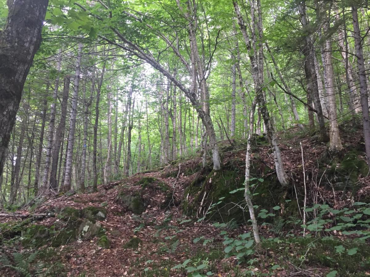 Chalet Nature Laurentides Val-des-Lacs Exterior foto